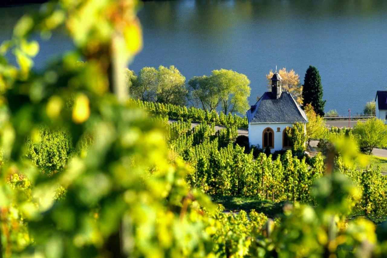 Weingut Christoffel Apartment Kovenig ภายนอก รูปภาพ